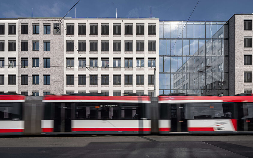 City outside, tranquility inside