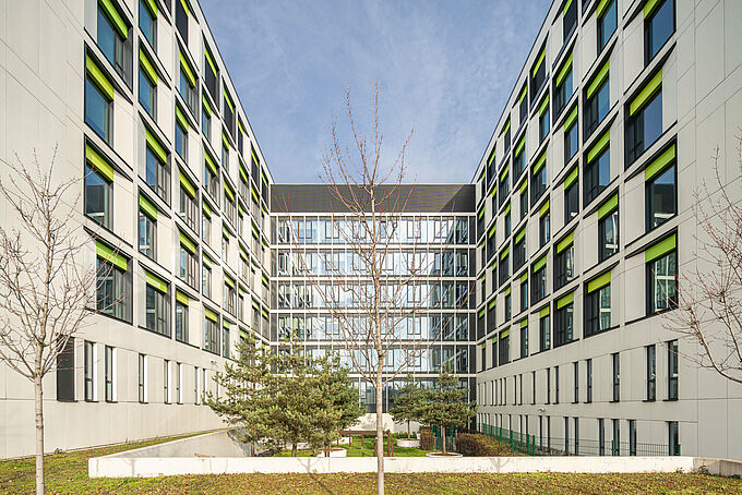 Working, researching and healing without disturbing impact sound Working, researching and healing without disturbing impact sound